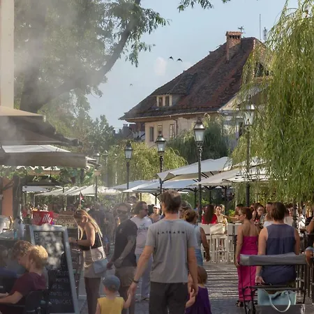 Njegoseva With Big Terrace * Ljubljana