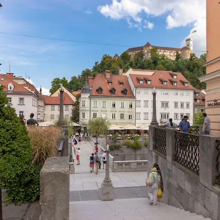Apartman Njegoseva With Big Terrace *
