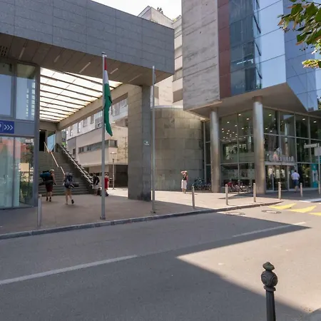 Appartement Njegoseva With Big Terrace