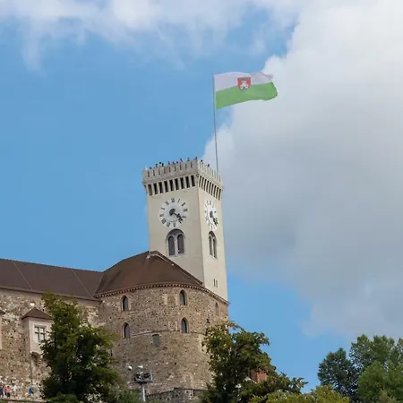 Njegoseva With Big Terrace *