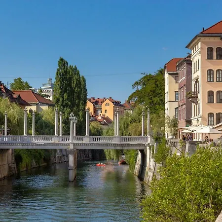 Appartement Njegoseva With Big Terrace