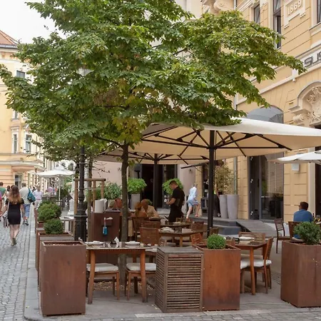Njegoseva With Big Terrace Apartman *