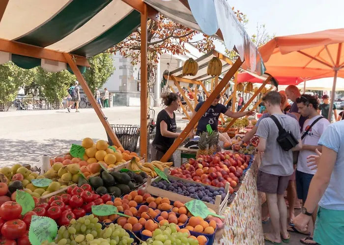 Njegoseva With Big Terrace דירה