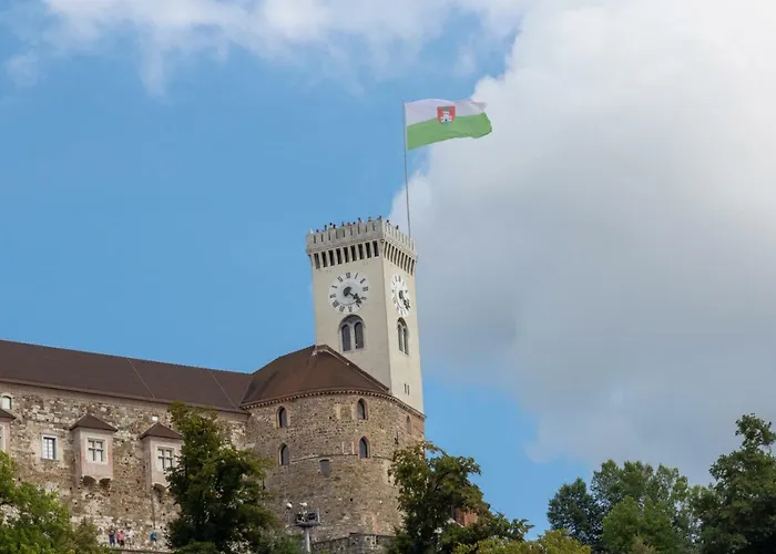 Njegoseva With Big Terrace *
