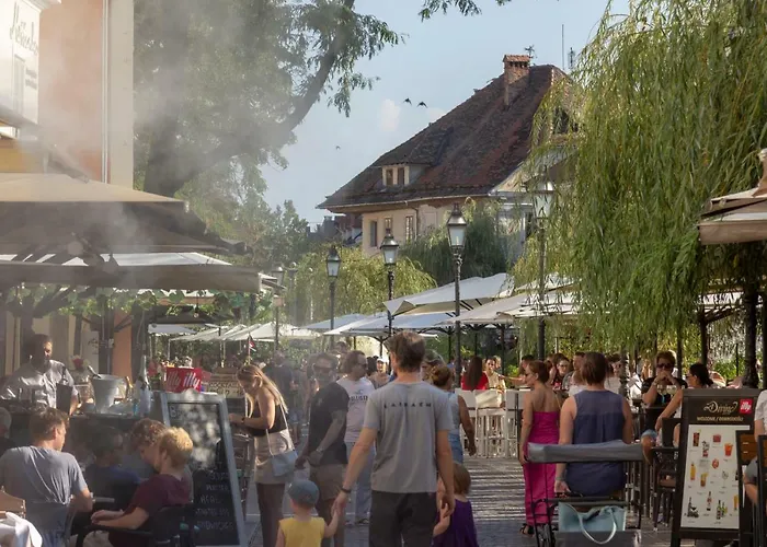 Njegoseva With Big Terrace * Ljubljana